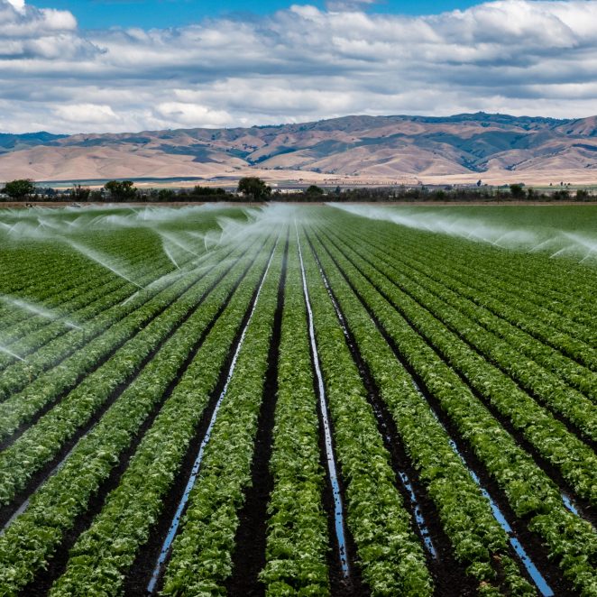 Sprinkler Irrigation