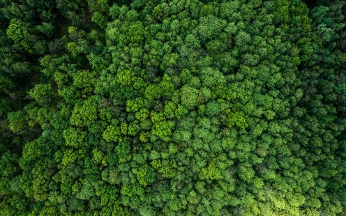 Vi brys oss om en bättre morgondag