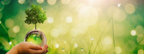 Save Earth.Hands holding glass green planet on sunny background