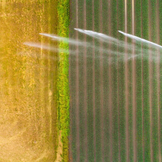 Artificial watering, wheat field - agricultural area, aerial view