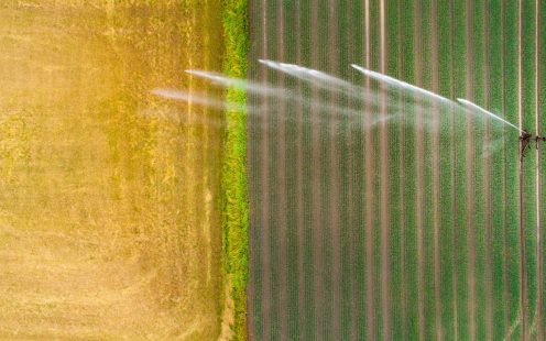 Artificial watering, wheat field - agricultural area, aerial view