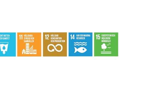 Global goals sustainability