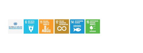 Global goals sustainability