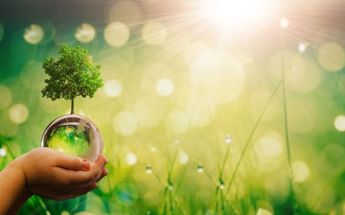 Save Earth.Hands holding glass green planet on sunny background